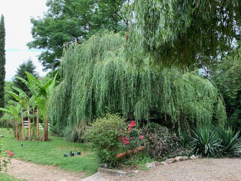 Gites Matilon Buanes Exterior foto